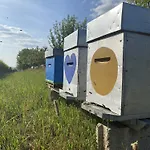La Mellifera Homestay Cernay-les-Reims