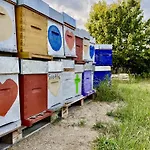 La Mellifera * Cernay-les-Reims