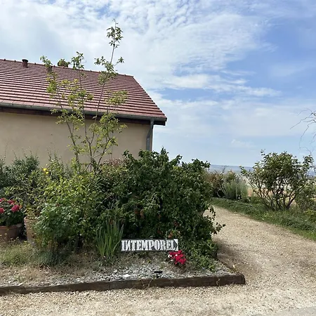 L'intemporel * Cernay-les-Reims