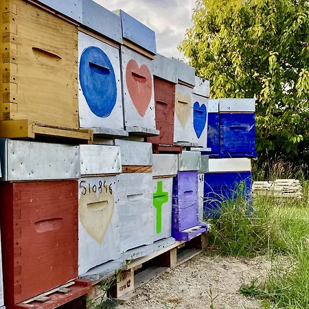 Homestay szállás La Mellifera *