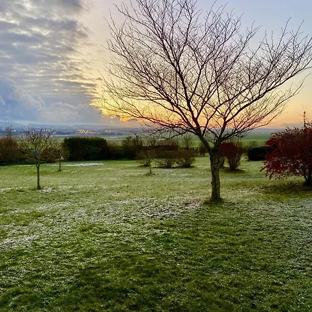 La Mellifera Cernay-les-Reims