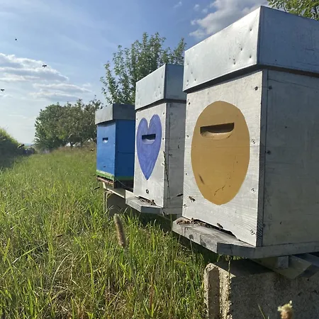 La Mellifera Ubytování v soukromí Cernay-les-Reims