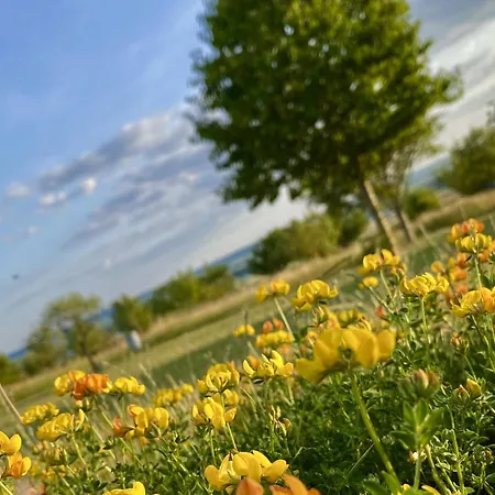 Δωμάτια σε οικογενειακή κατοικία La Mellifera
