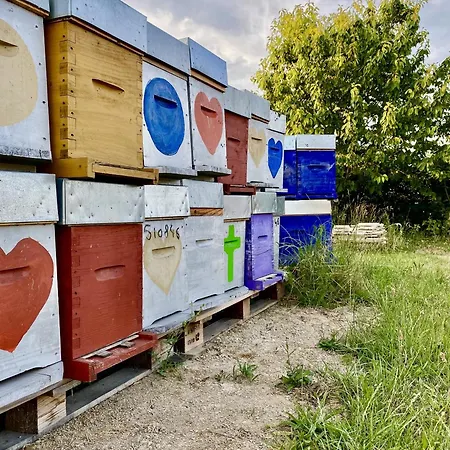 La Mellifera * Cernay-les-Reims
