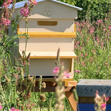 La Mellifera * Cernay-les-Reims
