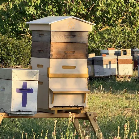 La Mellifera *