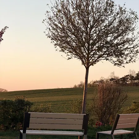 La Mellifera Cernay-les-Reims